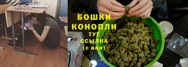 спиды Магас