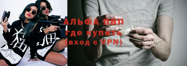 спиды Магас
