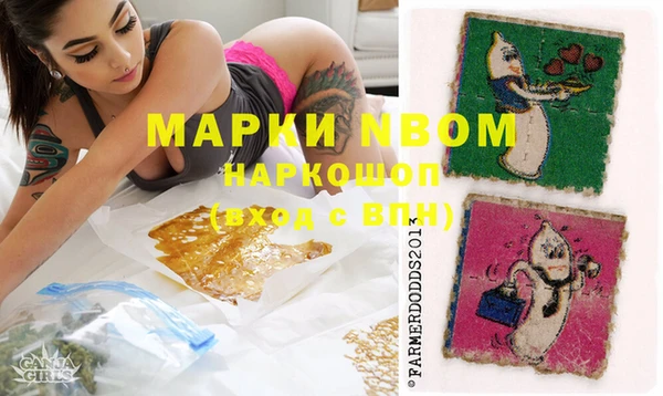 спиды Магас