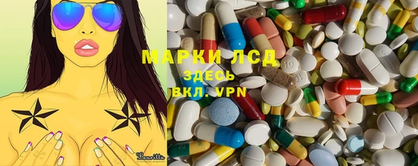 спиды Магас
